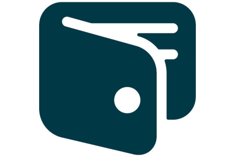 Icon payroll